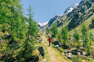 Wandern im Untersulzbachtal mich Blick auf den Großvenediger